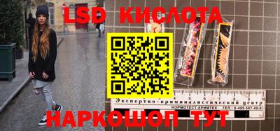 СК Шелехов