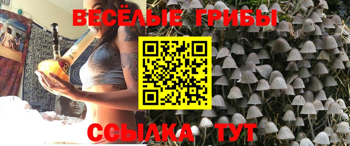 Тула  Псилоцибиновые грибы Cubensis  Вход с VPN 