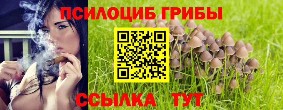 Псилоцибиновые грибы мицелий Тула